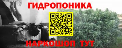эйфоретик Кулебаки