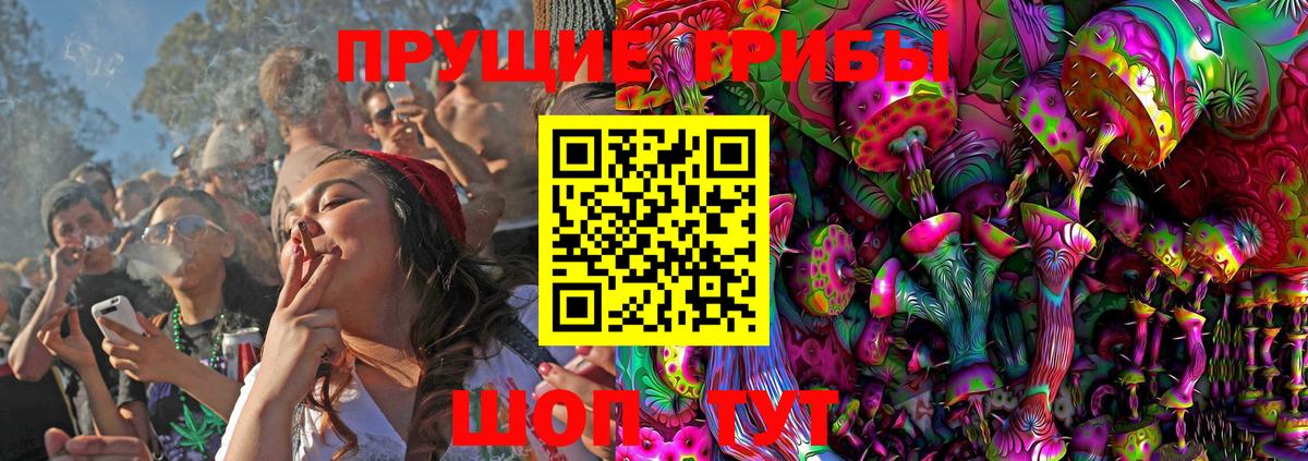 Псилоцибиновые грибы Magic Shrooms Вятские Поляны