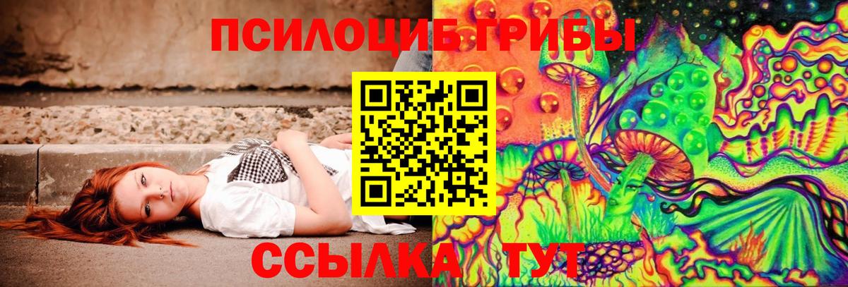 Галлюциногенные грибы Psilocybe  Вход с VPN  хочу   Вятские Поляны 